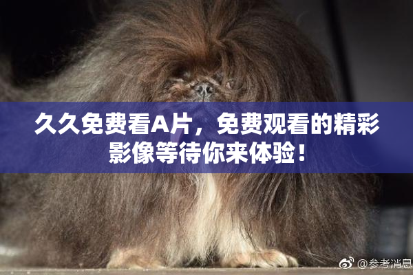 久久免费看A片，免费观看的精彩影像等待你来体验！