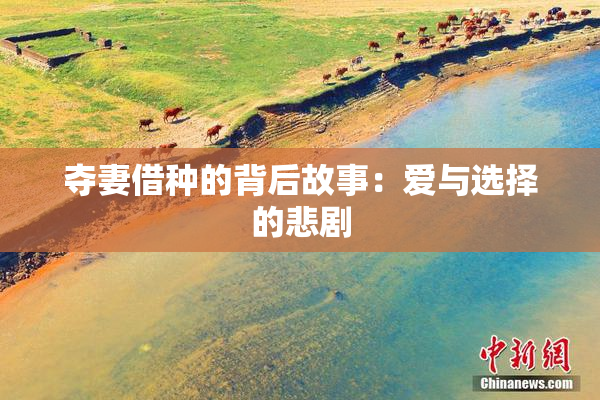 夺妻借种的背后故事：爱与选择的悲剧