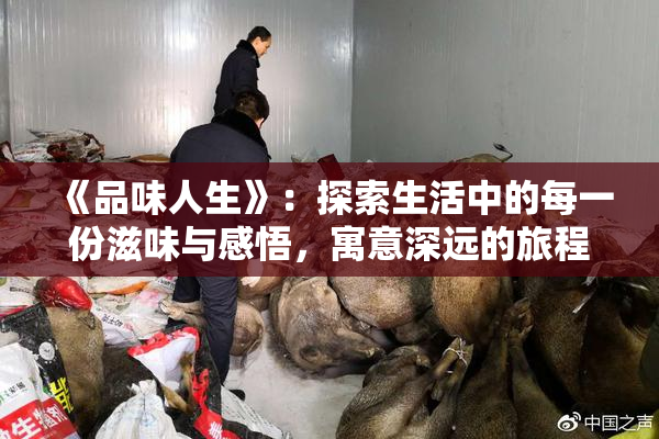 《品味人生》：探索生活中的每一份滋味与感悟，寓意深远的旅程