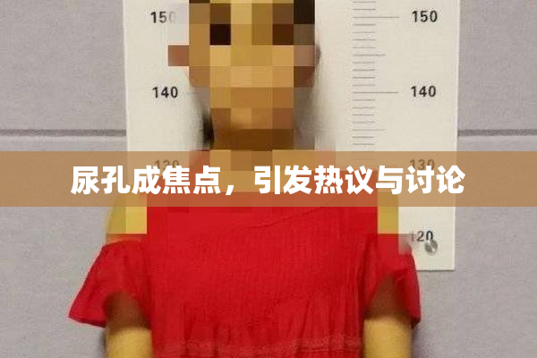 尿孔成焦点，引发热议与讨论