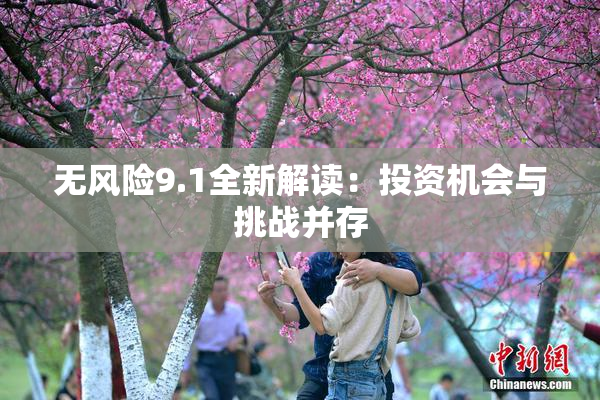 无风险9.1全新解读：投资机会与挑战并存