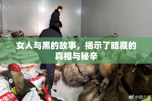 女人与黑的故事，揭示了暗藏的真相与秘辛