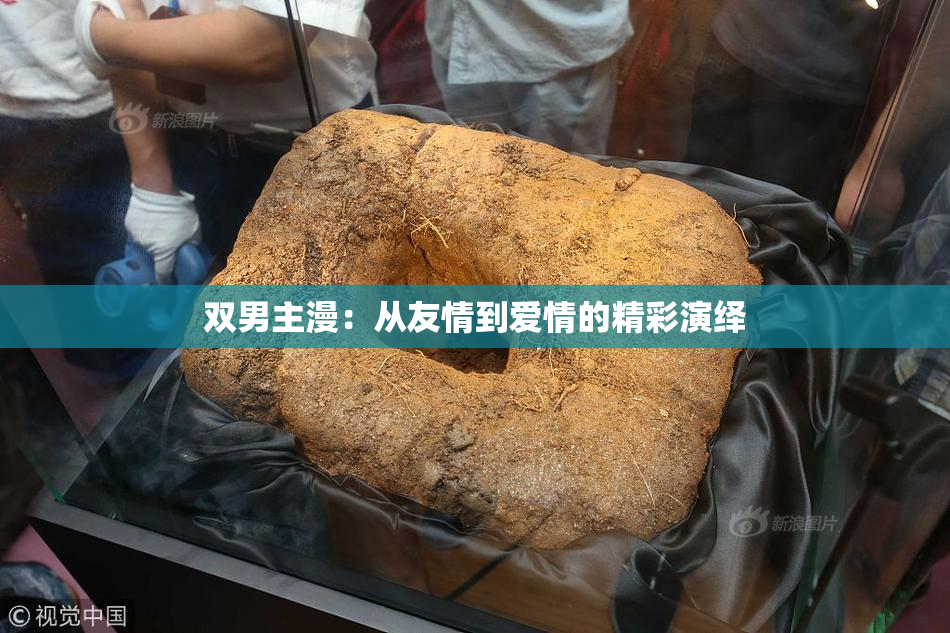 双男主漫：从友情到爱情的精彩演绎