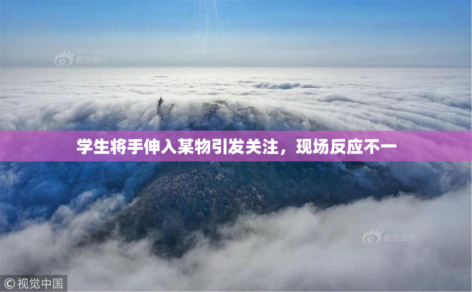 学生将手伸入某物引发关注，现场反应不一