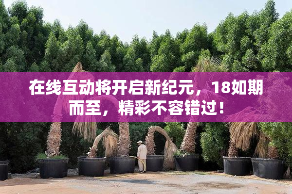 在线互动将开启新纪元，18如期而至，精彩不容错过！