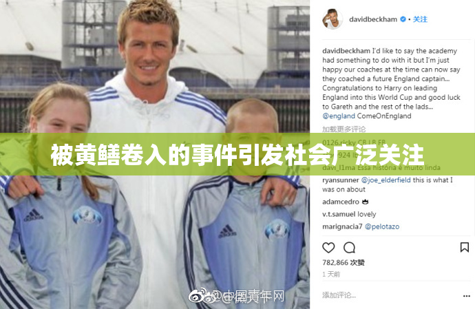 被黄鳝卷入的事件引发社会广泛关注