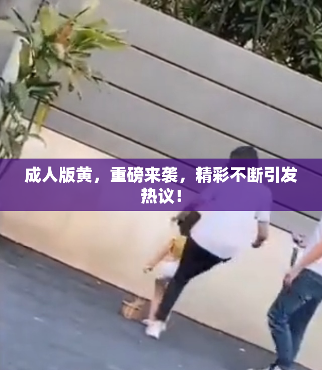 成人版黄，重磅来袭，精彩不断引发热议！