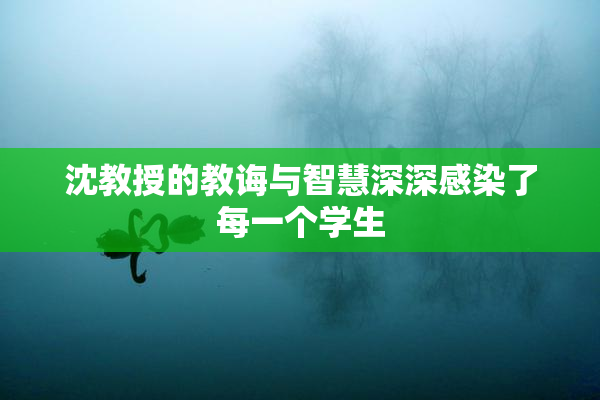沈教授的教诲与智慧深深感染了每一个学生