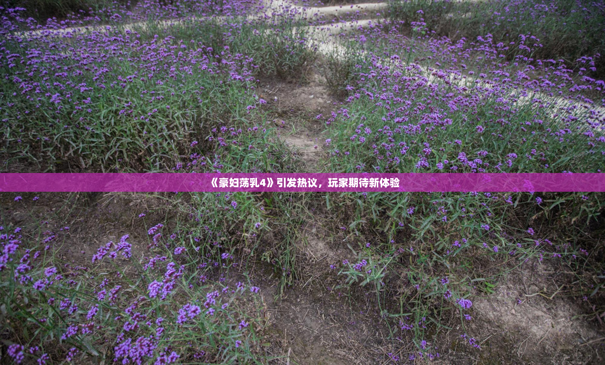 《豪妇荡乳4》引发热议，玩家期待新体验