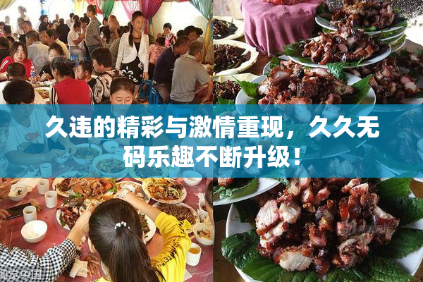 久违的精彩与激情重现，久久无码乐趣不断升级！