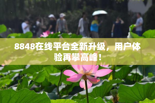8848在线平台全新升级，用户体验再攀高峰！
