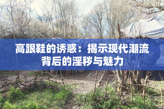高跟鞋的诱惑：揭示现代潮流背后的淫秽与魅力