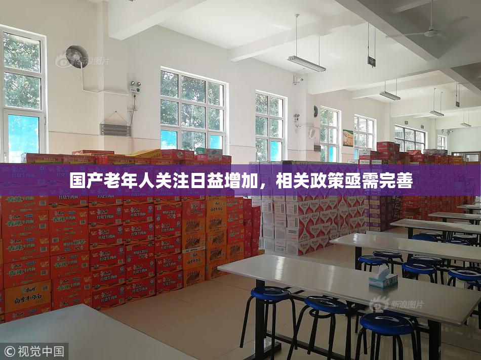 国产老年人关注日益增加，相关政策亟需完善