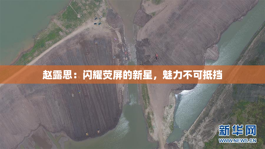 赵露思：闪耀荧屏的新星，魅力不可抵挡