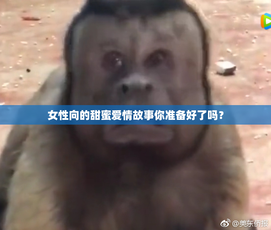 女性向的甜蜜爱情故事你准备好了吗？