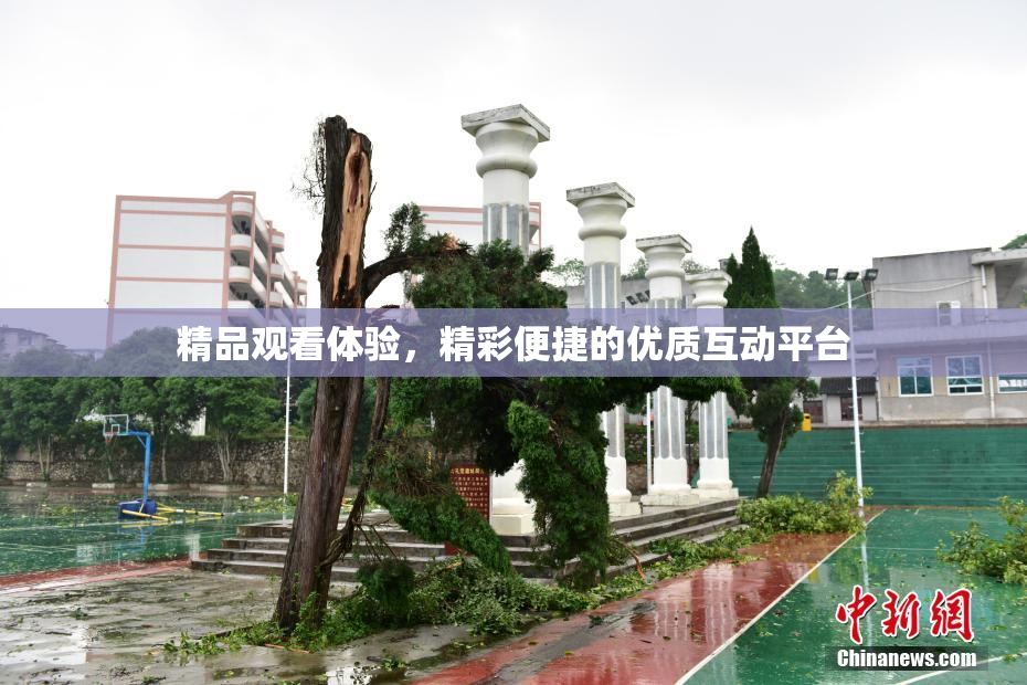 精品观看体验，精彩便捷的优质互动平台