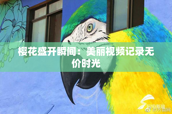 樱花盛开瞬间：美丽视频记录无价时光