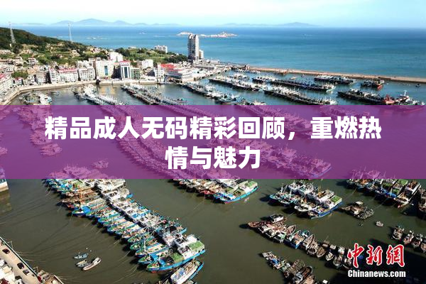 精品成人无码精彩回顾，重燃热情与魅力