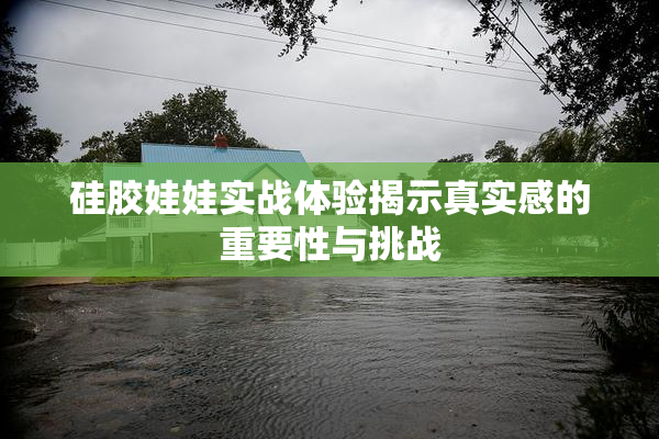 硅胶娃娃实战体验揭示真实感的重要性与挑战