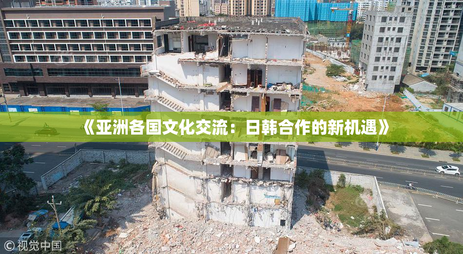 《亚洲各国文化交流：日韩合作的新机遇》