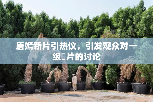 唐嫣新片引热议，引发观众对一级婬片的讨论