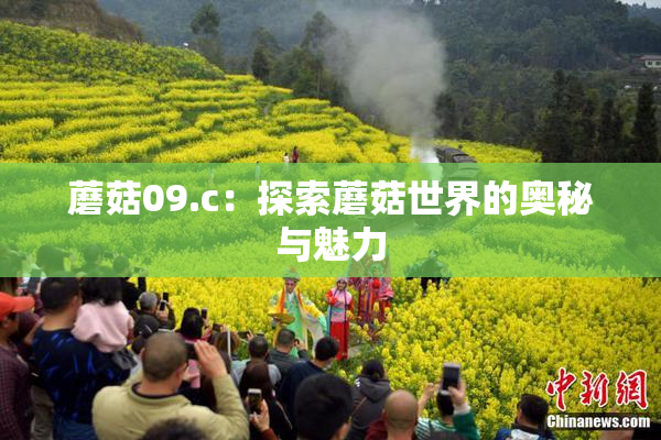 蘑菇09.c：探索蘑菇世界的奥秘与魅力