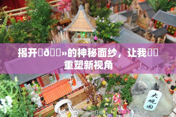 揭开‌🐻的神秘面纱，让我❌‌重塑新视角