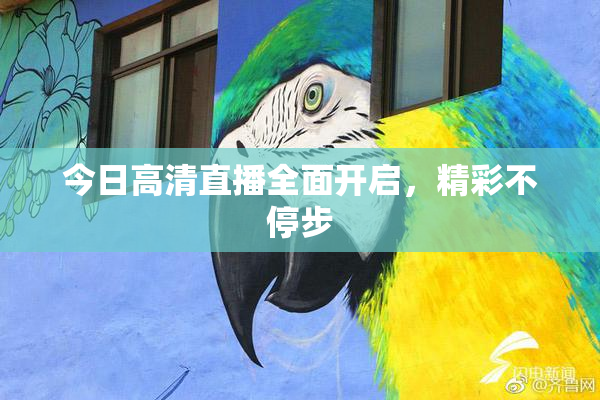 今日高清直播全面开启，精彩不停步