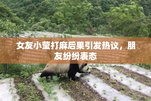 女友小莹打麻后果引发热议，朋友纷纷表态
