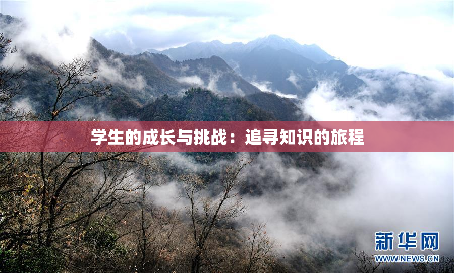 学生的成长与挑战：追寻知识的旅程