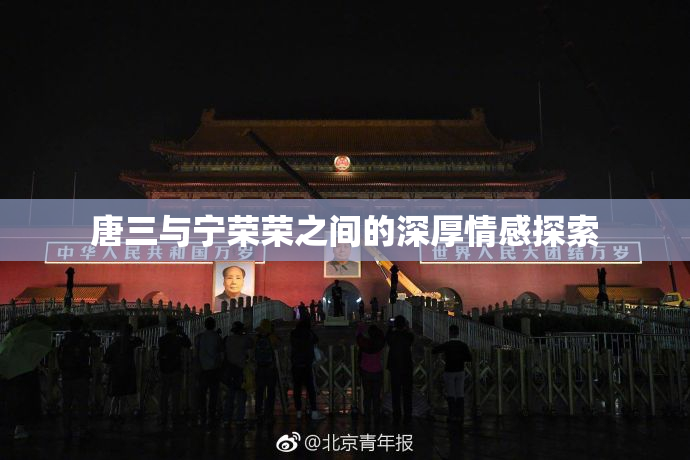 唐三与宁荣荣之间的深厚情感探索