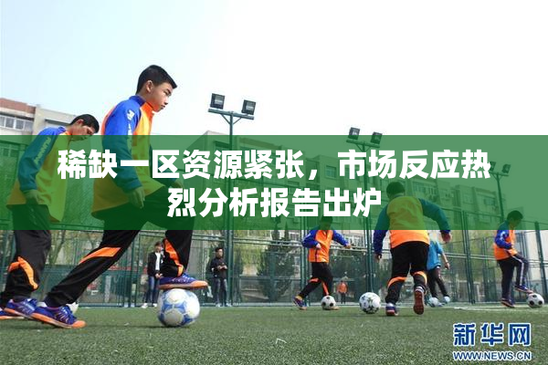 稀缺一区资源紧张，市场反应热烈分析报告出炉