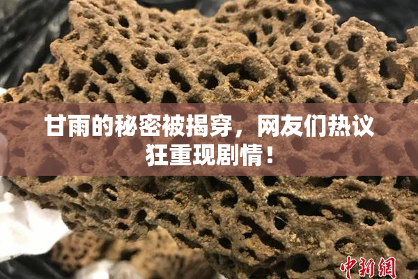 甘雨的秘密被揭穿，网友们热议狂重现剧情！