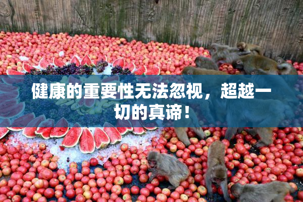 健康的重要性无法忽视，超越一切的真谛！