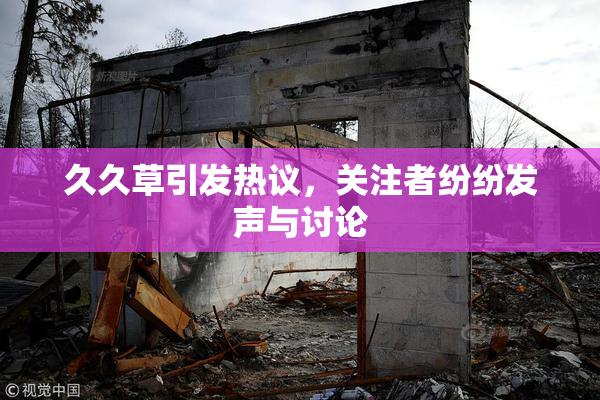 久久草引发热议，关注者纷纷发声与讨论