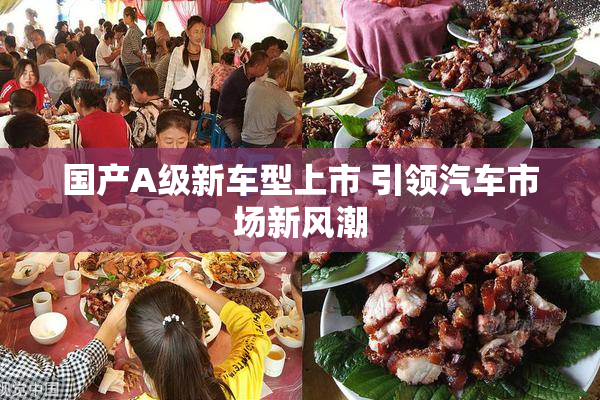 国产A级新车型上市 引领汽车市场新风潮