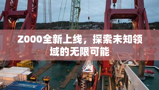 Z000全新上线，探索未知领域的无限可能