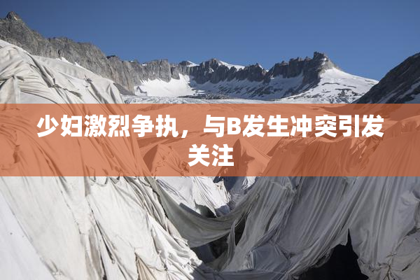 少妇激烈争执，与B发生冲突引发关注