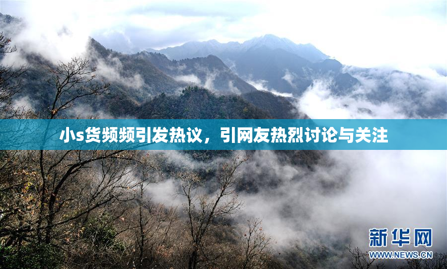 小s货频频引发热议，引网友热烈讨论与关注
