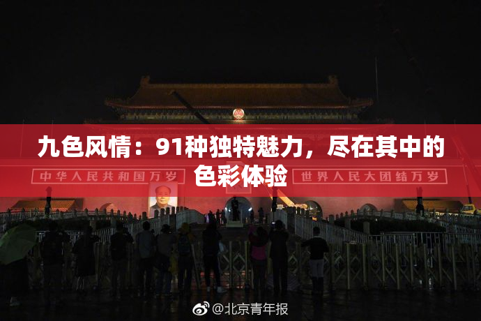 九色风情：91种独特魅力，尽在其中的色彩体验