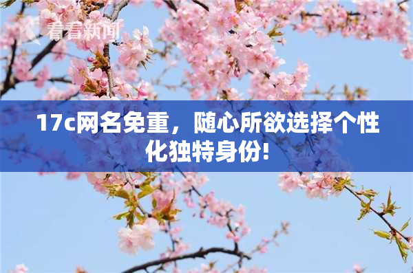 17c网名免重，随心所欲选择个性化独特身份!