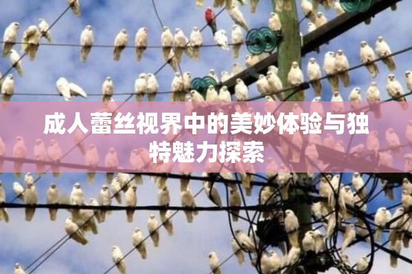 成人蕾丝视界中的美妙体验与独特魅力探索
