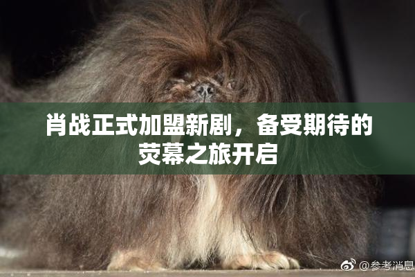 肖战正式加盟新剧，备受期待的荧幕之旅开启