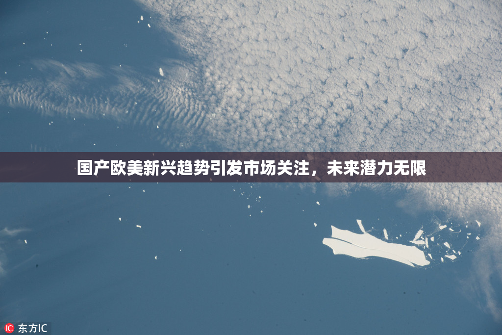 国产欧美新兴趋势引发市场关注，未来潜力无限