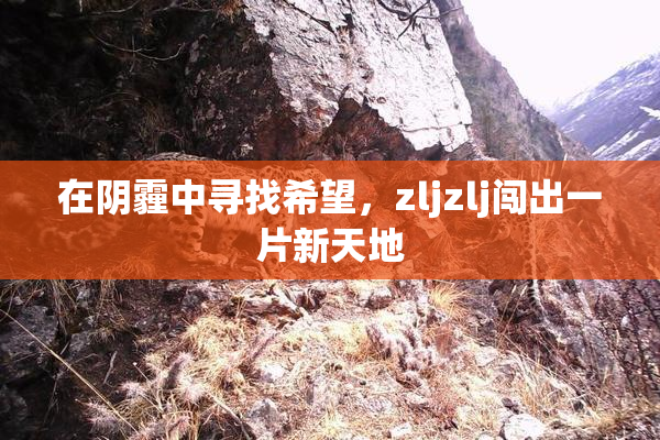 在阴霾中寻找希望，zljzlj闯出一片新天地
