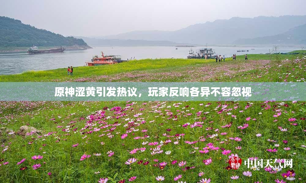 原神涩黄引发热议，玩家反响各异不容忽视