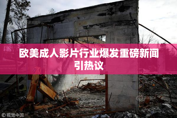 欧美成人影片行业爆发重磅新闻引热议