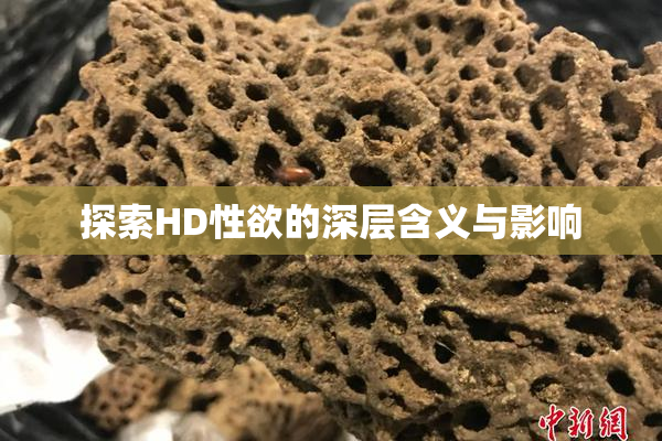 探索HD性欲的深层含义与影响