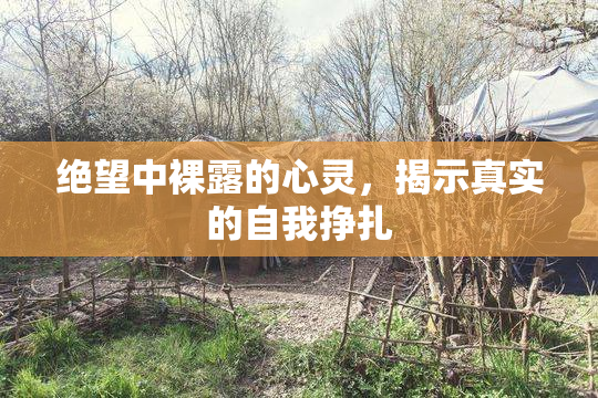 绝望中裸露的心灵，揭示真实的自我挣扎