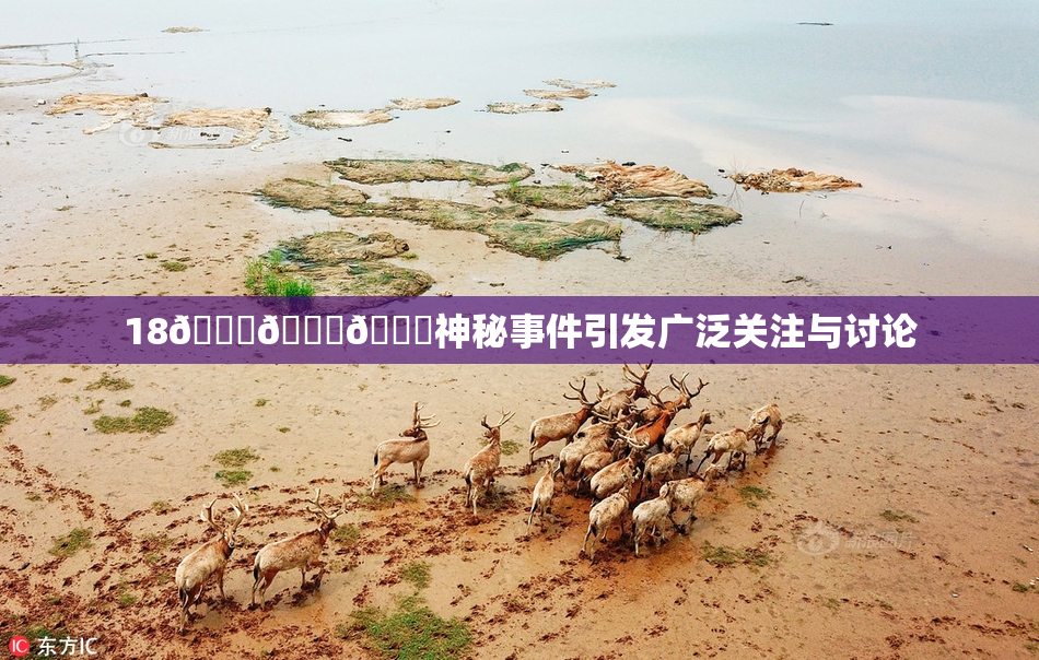 18🔞🍆🍑神秘事件引发广泛关注与讨论